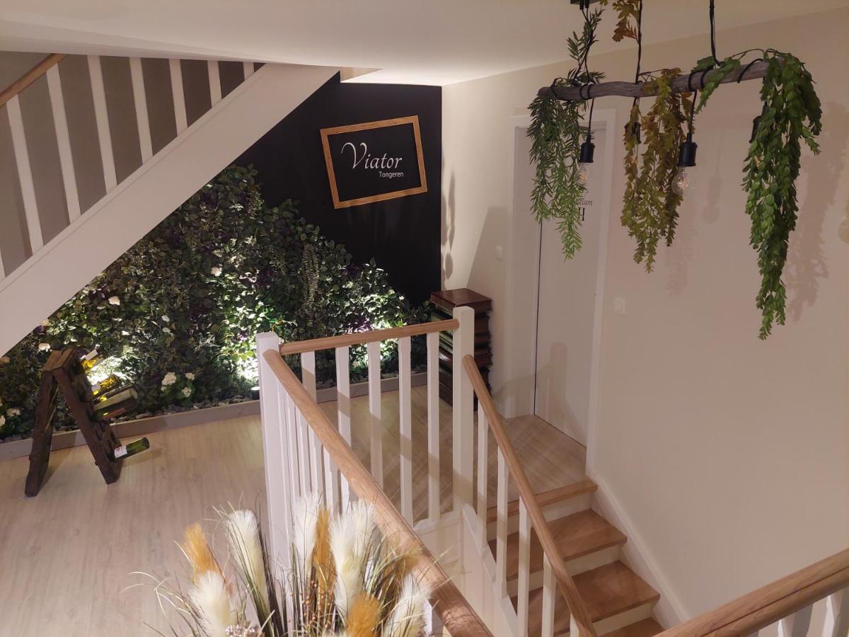 Bed and Breakfast Viator Tongeren Exterior foto