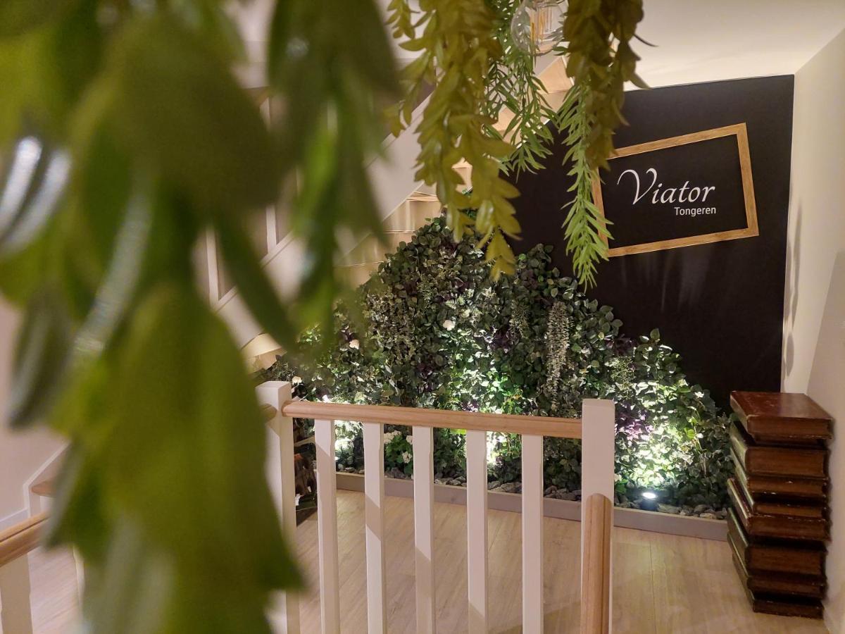 Bed and Breakfast Viator Tongeren Exterior foto